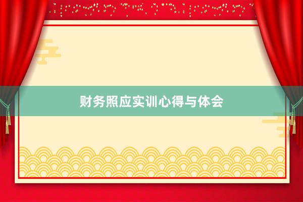 财务照应实训心得与体会