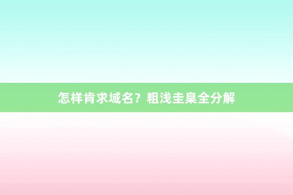 怎样肯求域名？粗浅圭臬全分解
